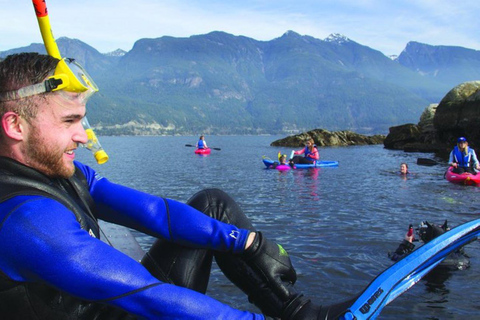 Vancouver: Snorkel, Kayak, and Seal Adventure Boat Tour
