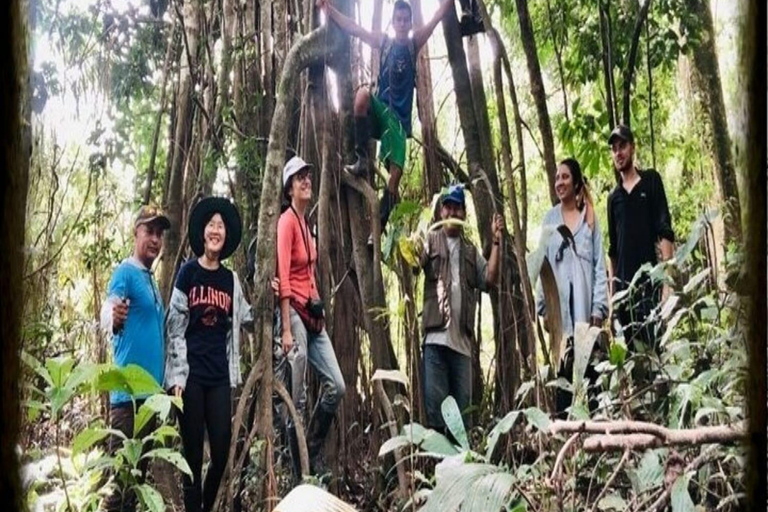 Iquitos: Curso de sobrevivência com habilidades extremas de 7 diasIquitos: curso de sobrevivência de 7 dias com habilidades extremas e refeições