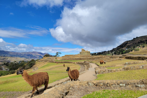 Ingapirca Ruins and Inca Face Small Group Tour from Cuenca. Shared Tour