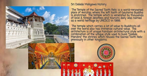 Kandy: Stadtführung mit Zahn-Tempel und Teegarten