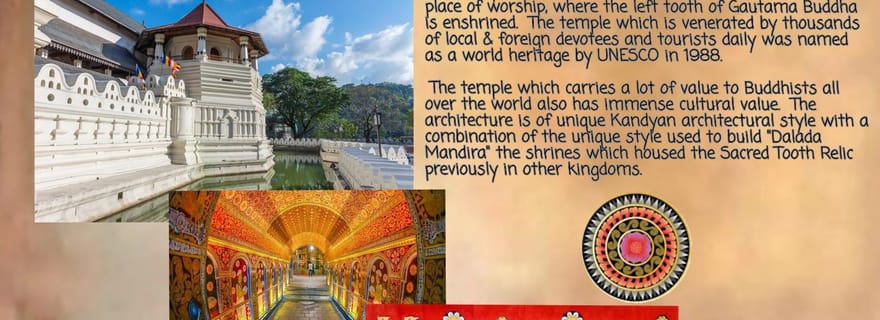 Kandy : Visite de la ville avec le Temple de la Dent et un jardin de thé