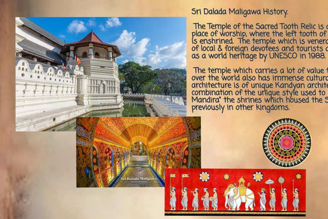 Kandy: City Tour with Temple of the Tooth & Tea Garden