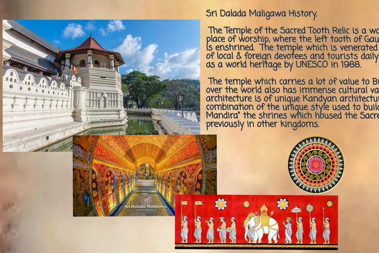 Kandy: City Tour with Temple of the Tooth & Tea Garden