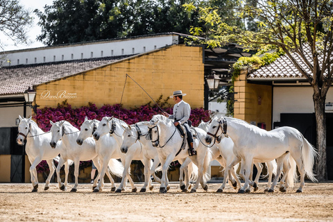 Jerez : visite de la Yeguada de la Cartuja (chevaux chartreux)Découverte des chevaux Chartreux à la Yeguada de la Cartuja