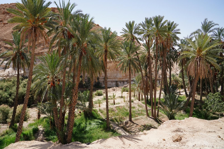 Tunis: South Tunisia Tour with Luxury Desert Bivouac Stay
