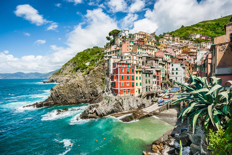 Livorno: Cinque Terre Small Group Tour max 13 people