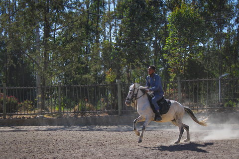 Addis Abeba Entoto Mtn: Reiten, Paintball und ZiplineEntoto Mtn: Reiten, Paintball und Zipline-Hochseilgarten