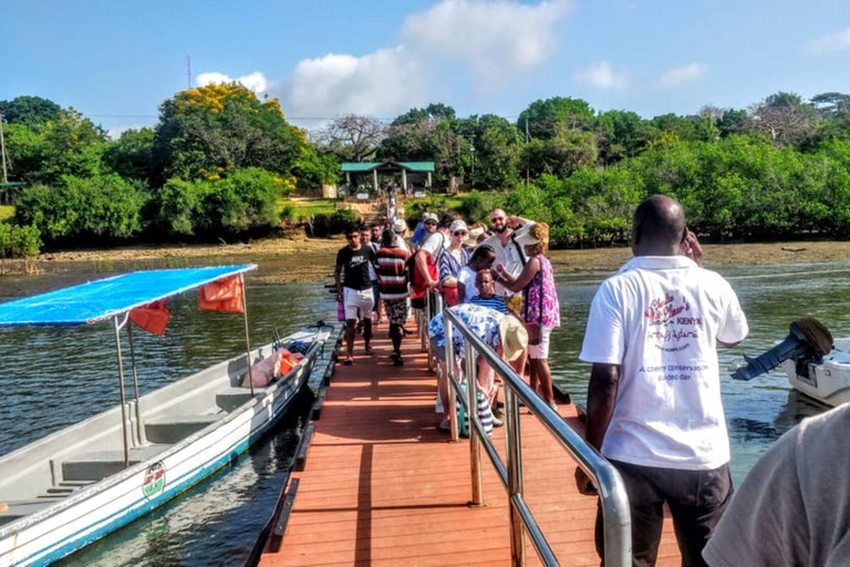 迪亚尼：Kisite 私人游船之旅（含浮潜和午餐）团体加入浮潜活动