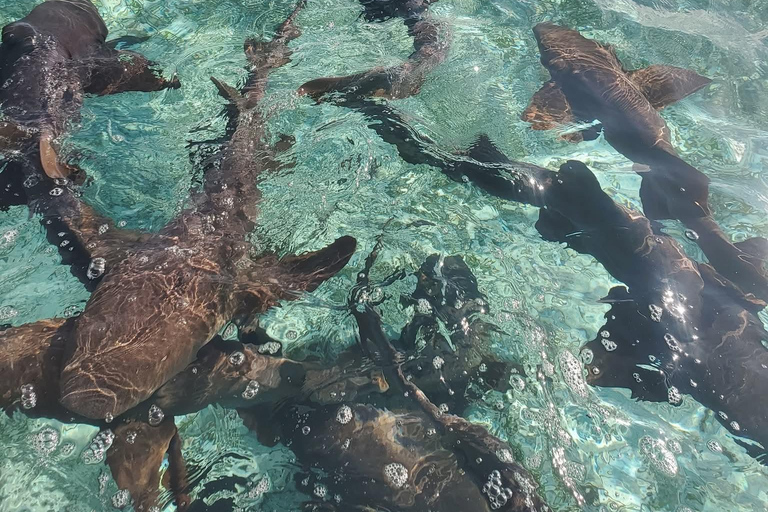 Caye Caulker Snorkeling & Secret Beach Day Tour
