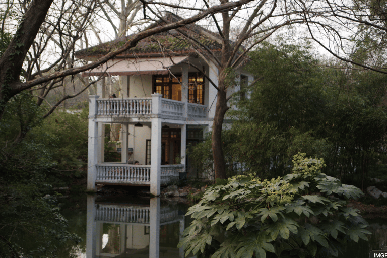 Hangzhou West Lake Bike Tour: Temple, Tea Field, Sunset Ride