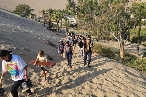 Experiencia de vino, pisco y buggy