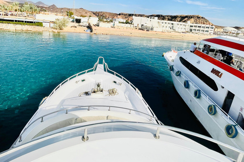 Sharm El Sheikh: Private Boat Trip Snorkeling & Diving