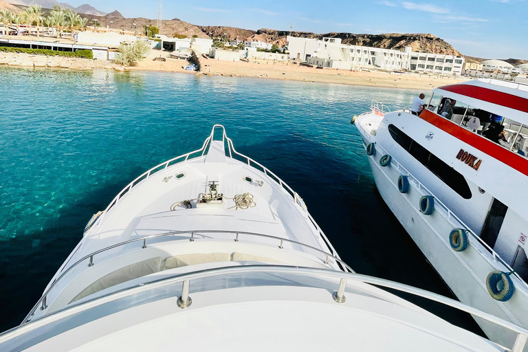 Sharm El Sheikh: Private Boat Trip Snorkeling & Diving