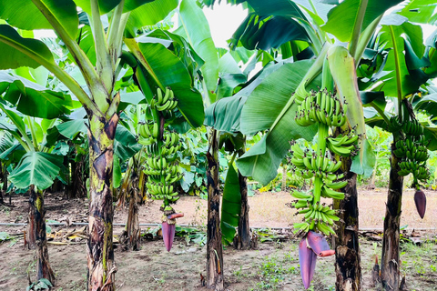 河内吉普车探索之旅：河内希尔顿、城堡、B52和火车站乘坐吉普车探索河内市