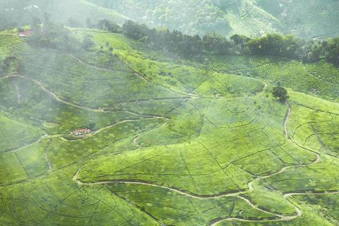 Klein Munnar: Vagamon Serene Teegärten, Wiesen und Wälder