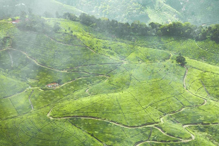 Klein Munnar: Vagamon Serene Teegärten, Wiesen und Wälder