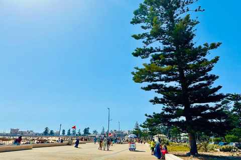 From Marrakech: Essaouira Day Trip with Optional Activities