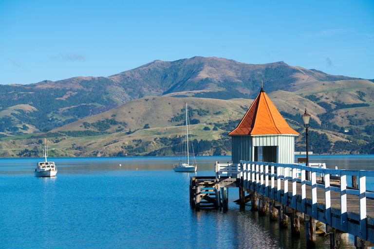 Christchurch: Excursión de un día a Akaroa y la península de Banks