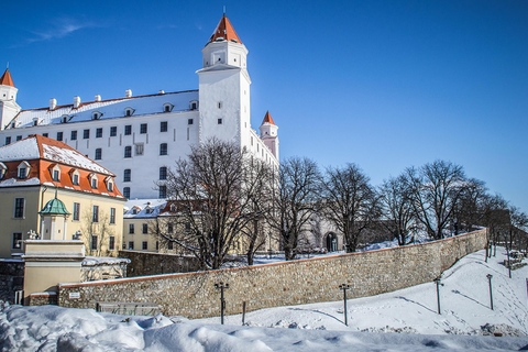 Bratislava Christmas Market and Devin Castle Private DayTrip