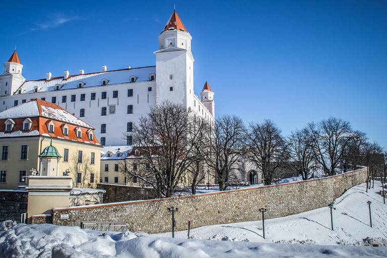 Bratislava Christmas Market and Devin Castle Private DayTrip