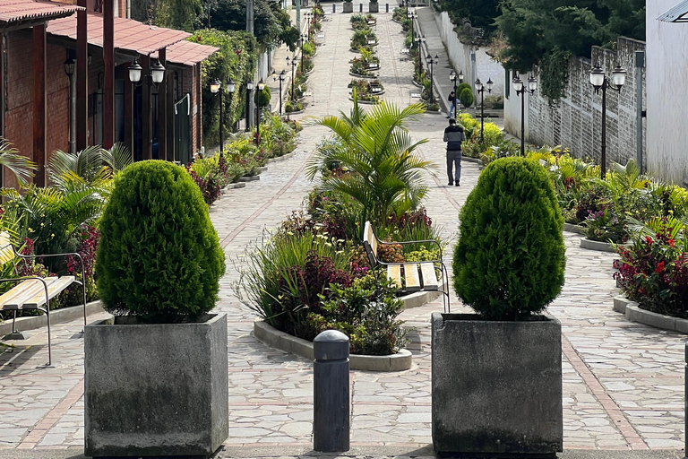 Apaneca: Quad Bike Tour, Laberinto de Albania, and Ataco Tour Apaneca: ATV Tour, Laberinto de Albania, and Ataco City Tour