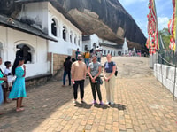 Escursione giornaliera Sigiriya e Dambulla da Ella - Hizvo