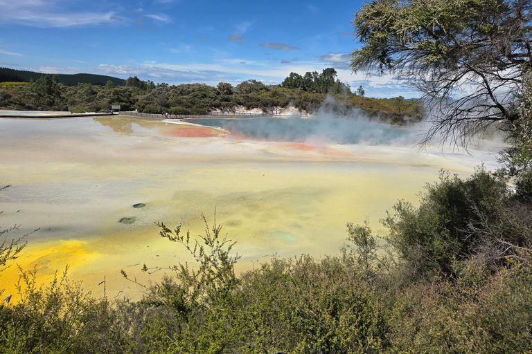 Auckland: Māori Village & Wai-o-Tapu & Blue Springs