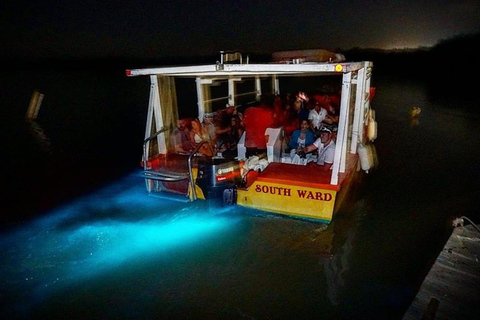 Montego Bay : Visite des chutes de la rivière Dunn et du lagon lumineux