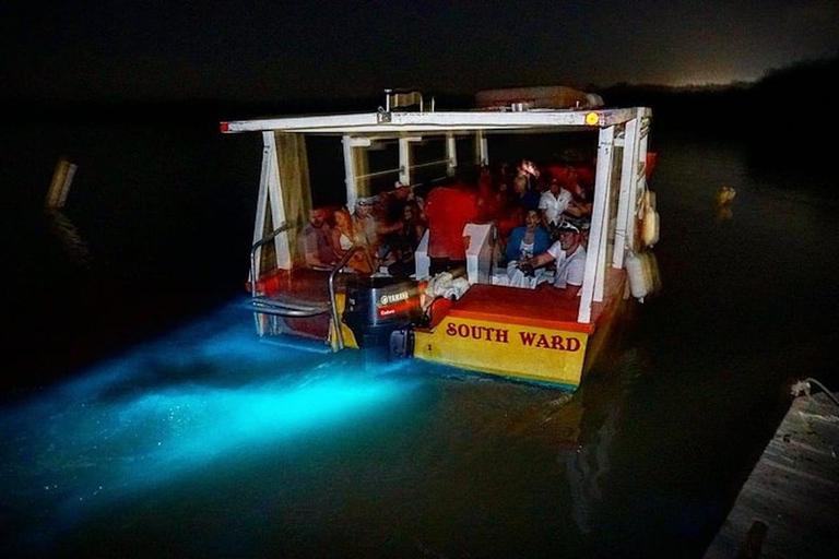 Montego Bay : Visite des chutes de la rivière Dunn et du lagon lumineux