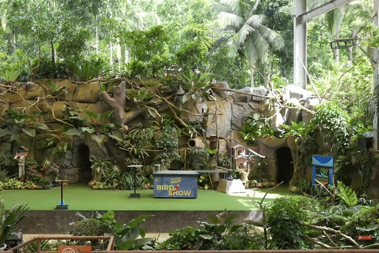 Cebu Safari: Experience Wildlife Up Close
