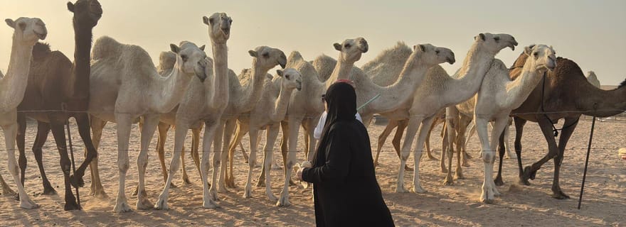 Koweït : safari dans le désert, buggy, chameaux et tours de Koweït
