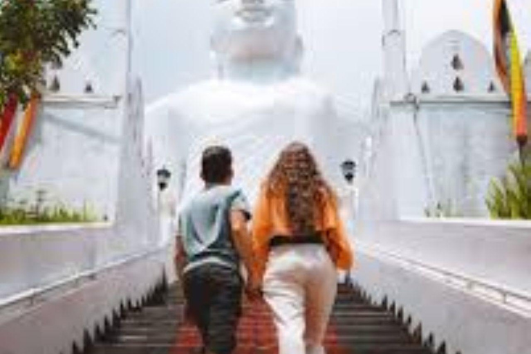 From Colombo/Negombo: Kandy ,Pinnawala ,Tea Factory Day Tour