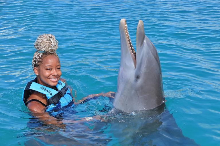 Dunn’s River Falls and Dolphin Cove Swim Adventure From Montego Bay/ Falmouth/ Trelawny