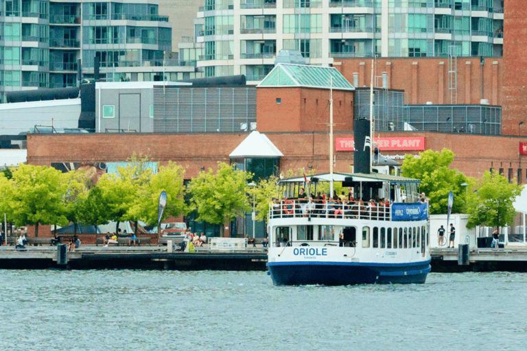 Toronto: Private City Tour with CN Tower & Cruise