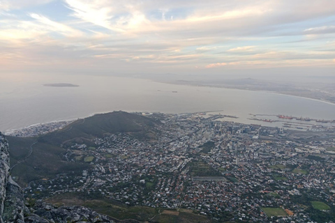 Kaapstad: Robbeneiland en Tafelberg privétour