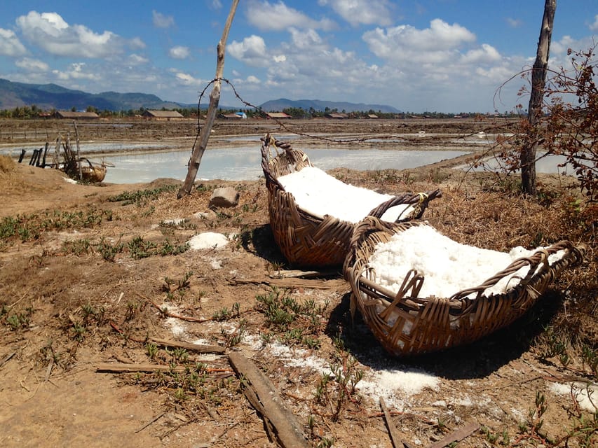 One Day Trip to Pepper Farm, Chhngok Temple and Salt Field - Housity