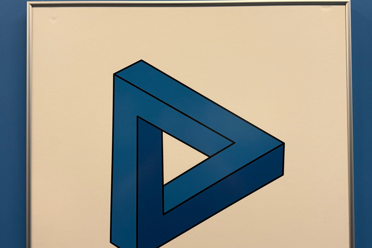 Museum of Illusions Entry Ticket