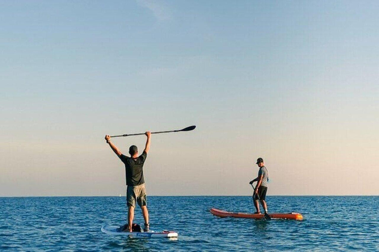 Paddle Boarding in Port City