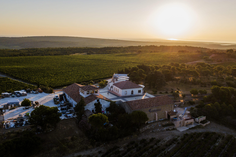 Full tour of the estate and wine tasting at Château Camplazens Visit Julius - Château Camplazens AOP La Clape