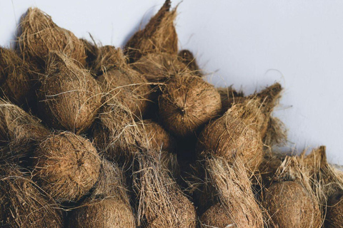 Kochi: Full-Day tour with Temple, Farming & Village Life