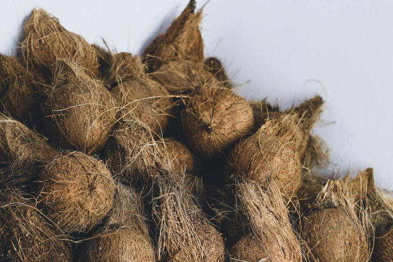 Kochi: Full-Day tour with Temple, Farming & Village Life