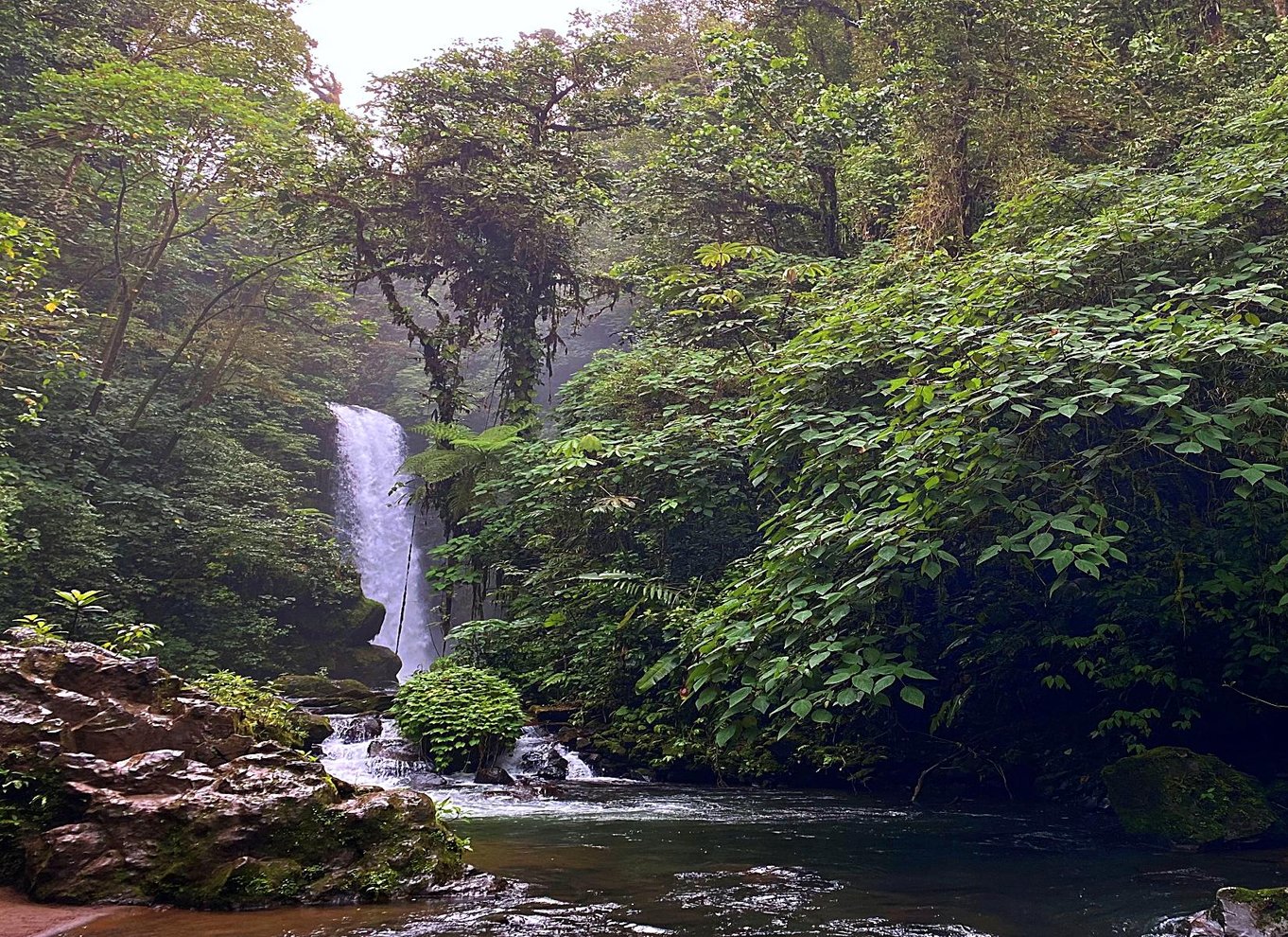 La Paz Waterfall Gardens dagsbillet