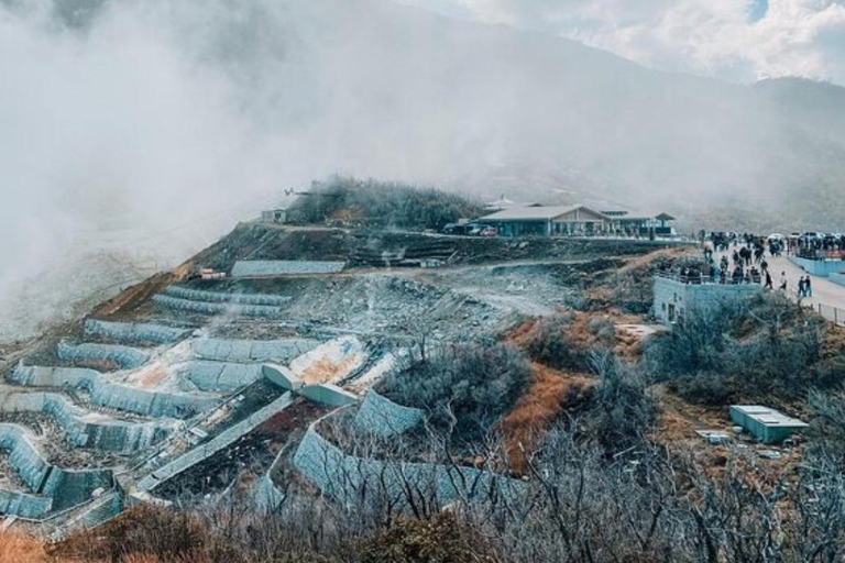 Depuis Tokyo : Visite privée du Mont Fuji en Land Cruiser ZX 2024Visite touristique du Mont Fuji en voiture de luxe Toyota Vellfire