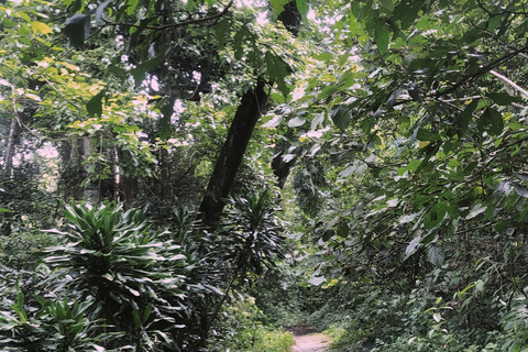 Arusha vattenfall, byvandring och / eller kaffeturBypromenad och vattenfall