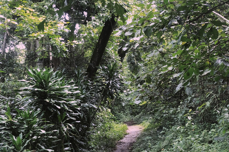 Cascata de Arusha, passeio pela aldeia e/ou excursão ao café