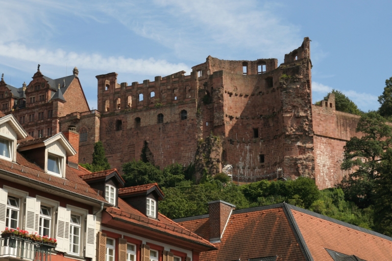 Heidelberg : Première promenade de découverte et visite guidée de lectureHeidelberg : Première promenade de découverte et visite guidée de la lecture