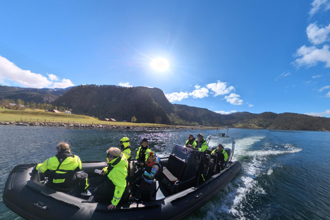 Bergen: Modalen RIB Fjord Safari with Lunch & Transfer