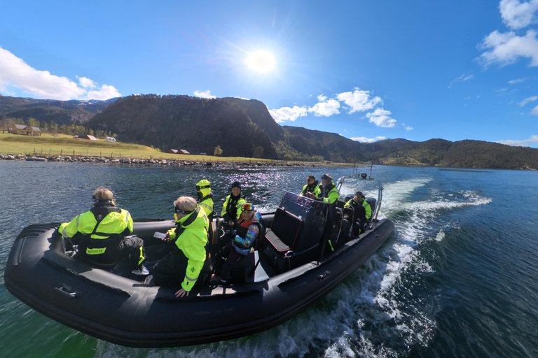 Bergen: Modalen RIB Fjord Safari with Lunch & Transfer