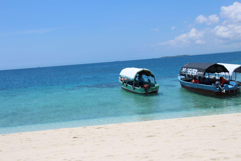 Mnemba dolphin & snorkel: from matemwe, pwani, kwingwa, Uroa