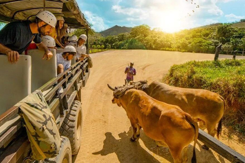 Experience Local Life: Dominican Countryside Safari from Punta Cana